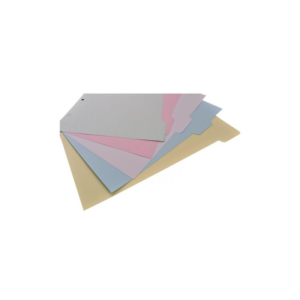 GUIA SEPARADORA 105 CARTULINA PQTEx5 SURTIDA